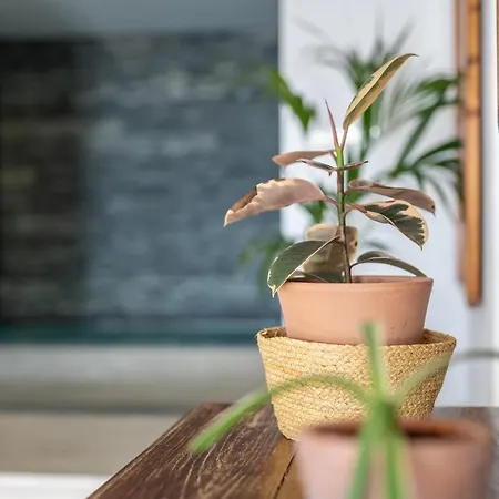 Wellness House Villa Santa Cruz de Tenerife Buitenkant foto