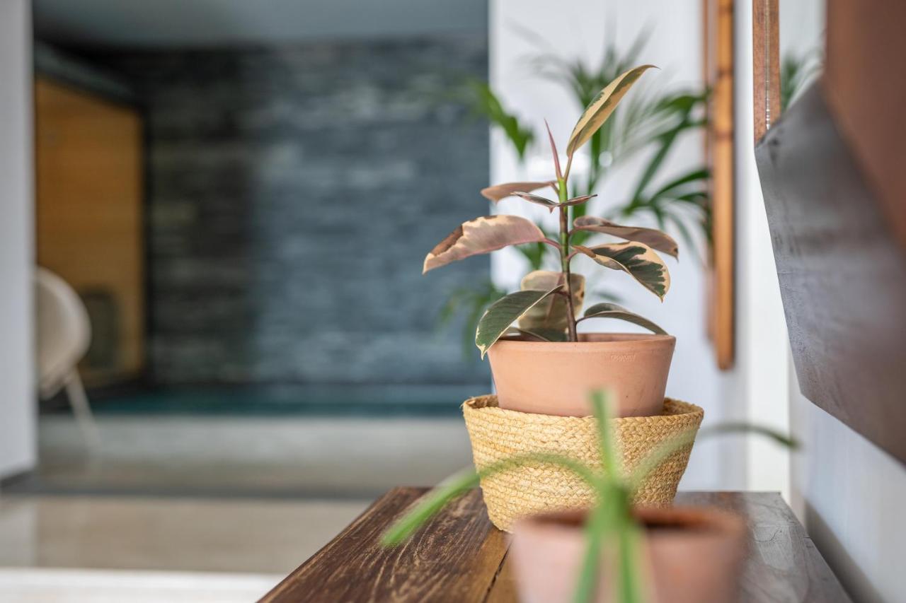 Wellness House